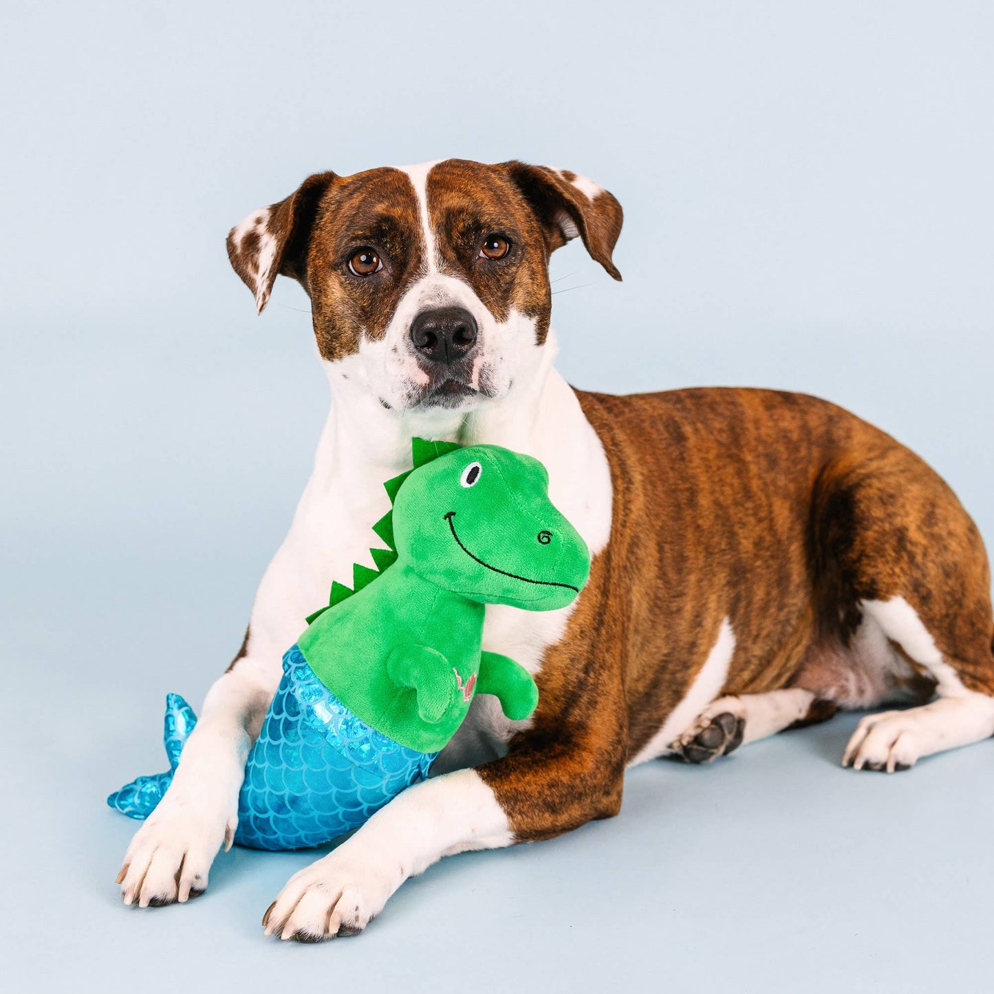 Mermaid Rex Plush Dog Toy