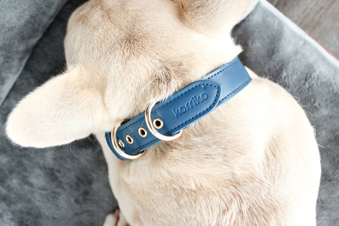 Conjunto de collar y correa para perros Signature - Azul marino