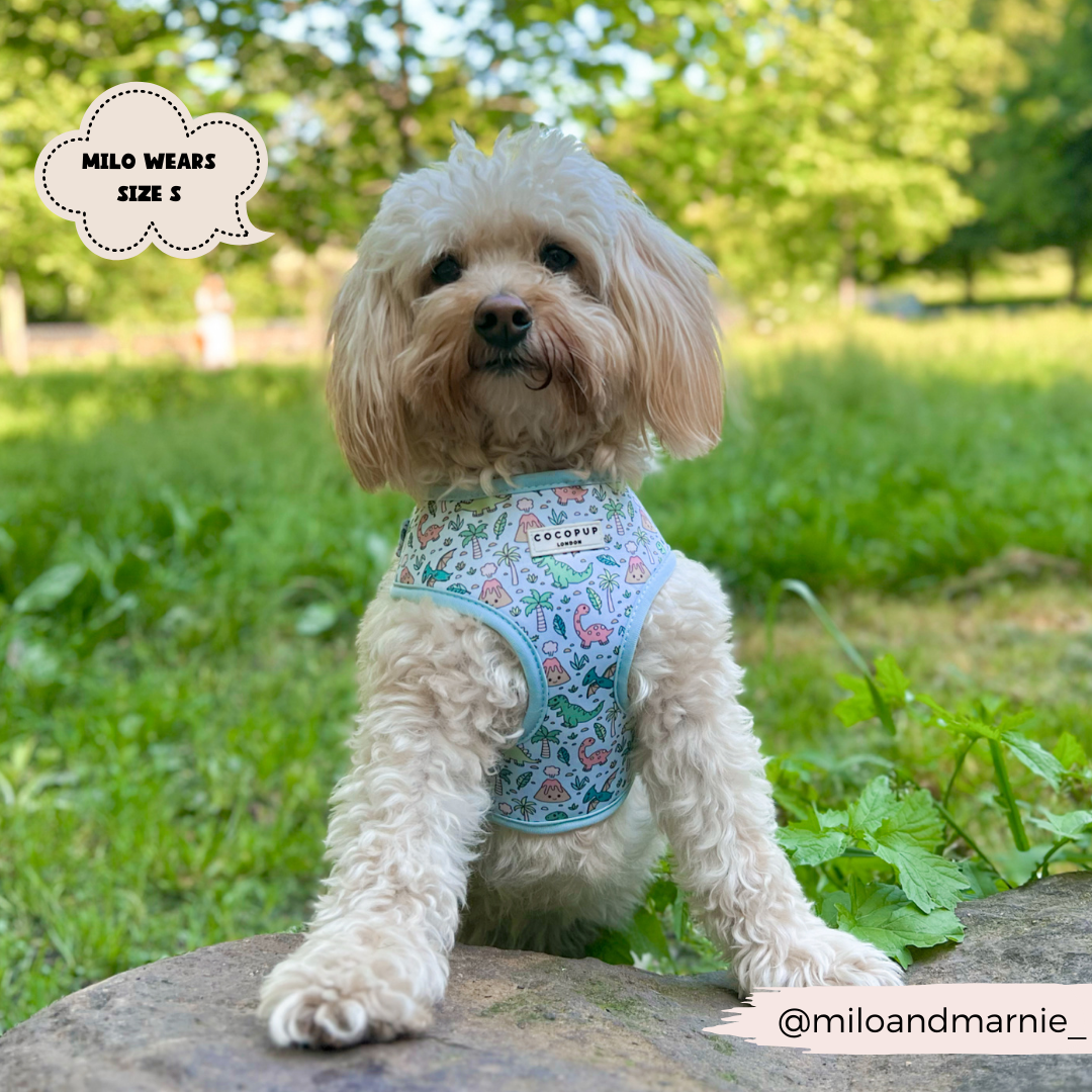 Dinopaws Adjustable Neck Dog Harness