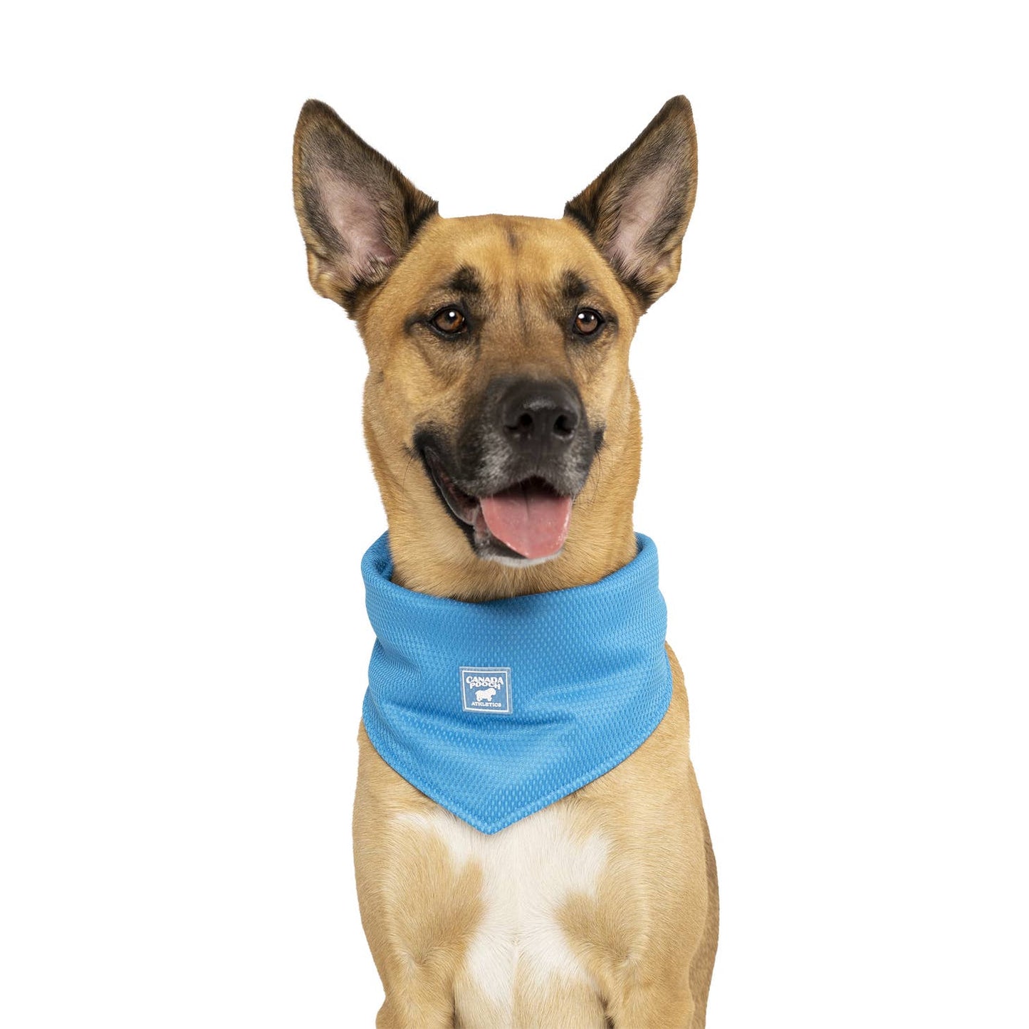 Chill Seeker Cooling Bandana - Blue