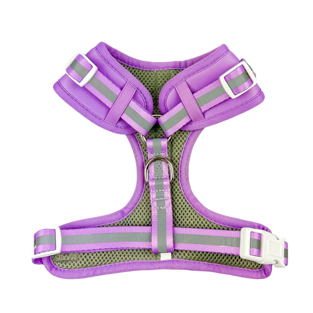 Shine Bright - Amethyst Adjustable Dog Harness