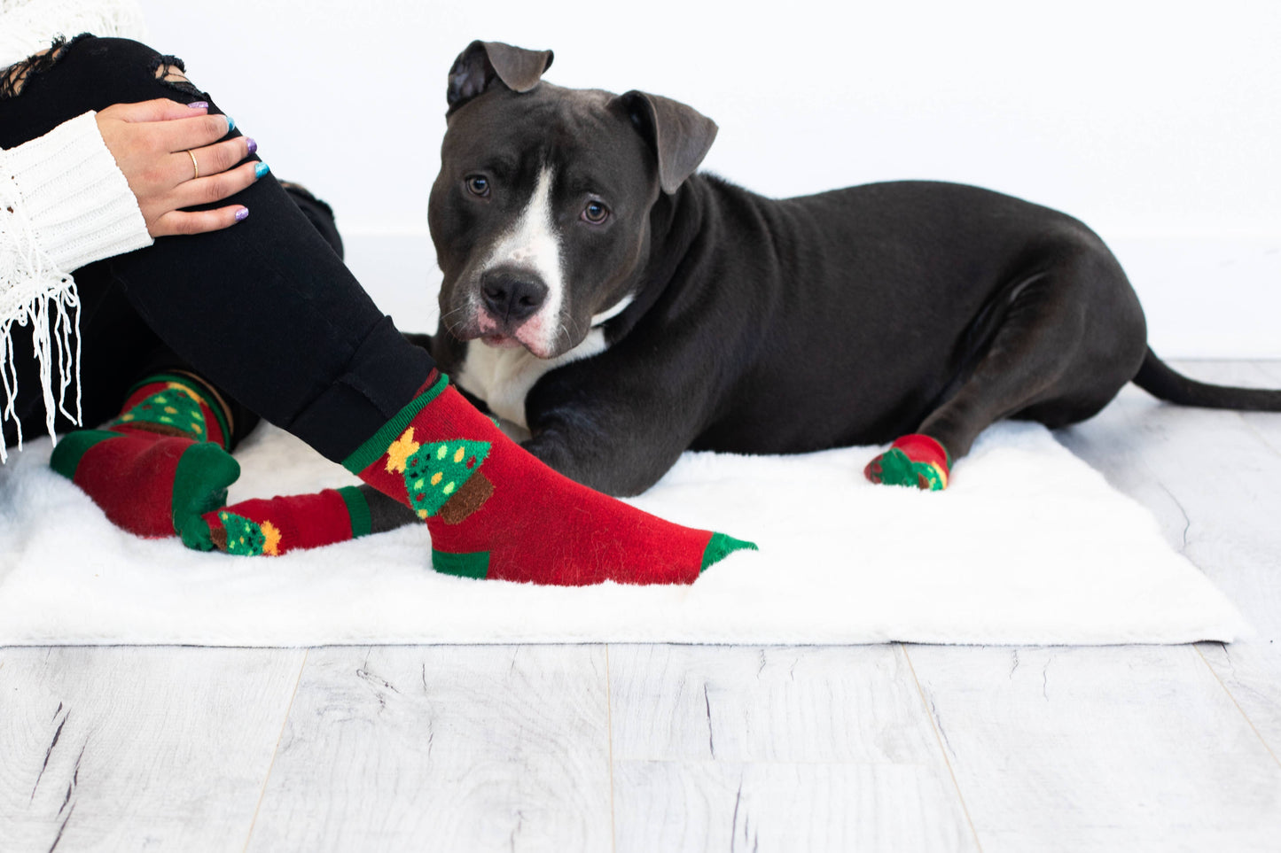 Human and Dog Matching Christmas Sock Set - Christmas Tree