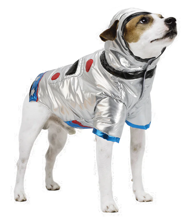 El disfraz galáctico de Halloween para perro
