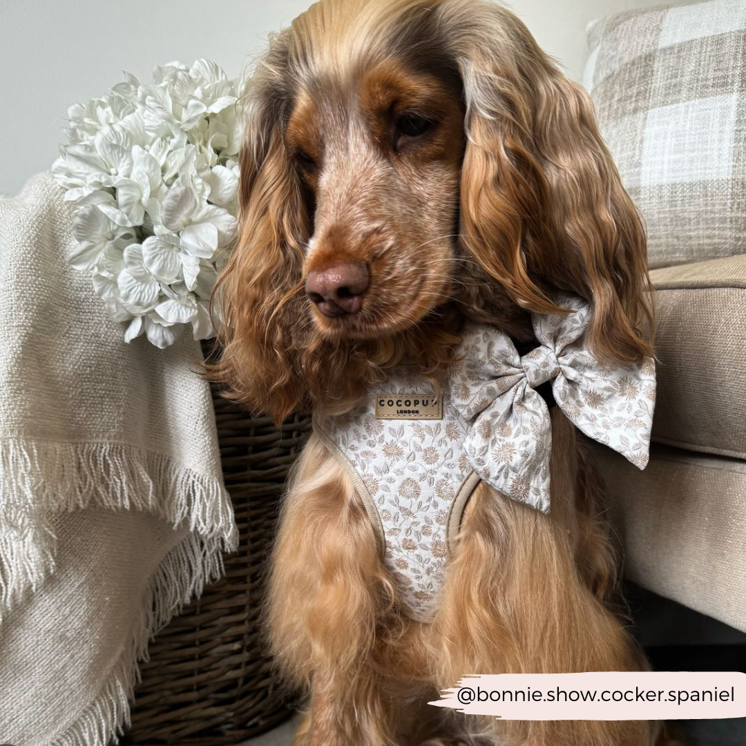 Luxe Adjustable Neck Harness - Garden Meadow