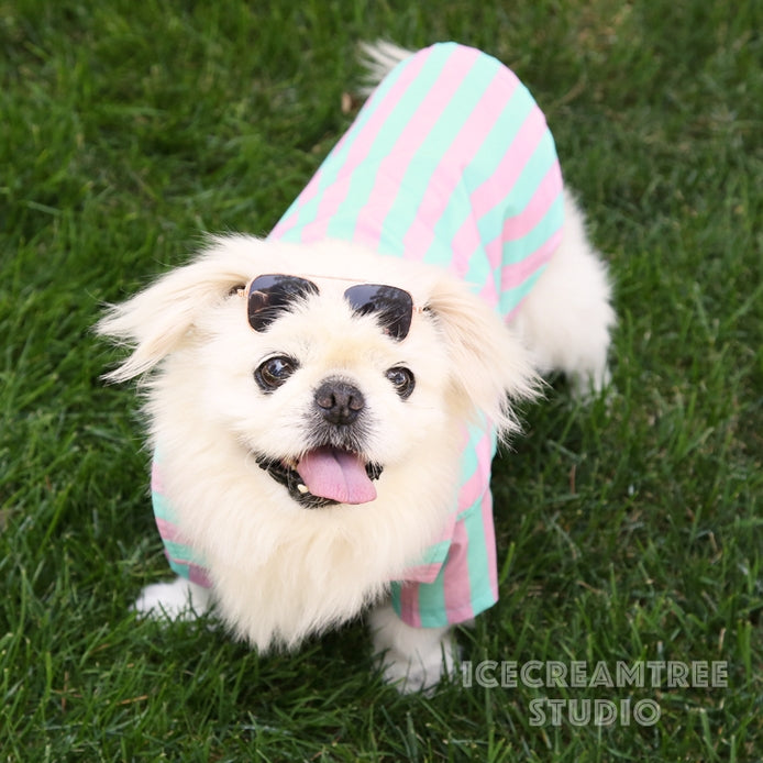 Conjunto de camisa y gafas de sol con look Ken - Disfraz de perro