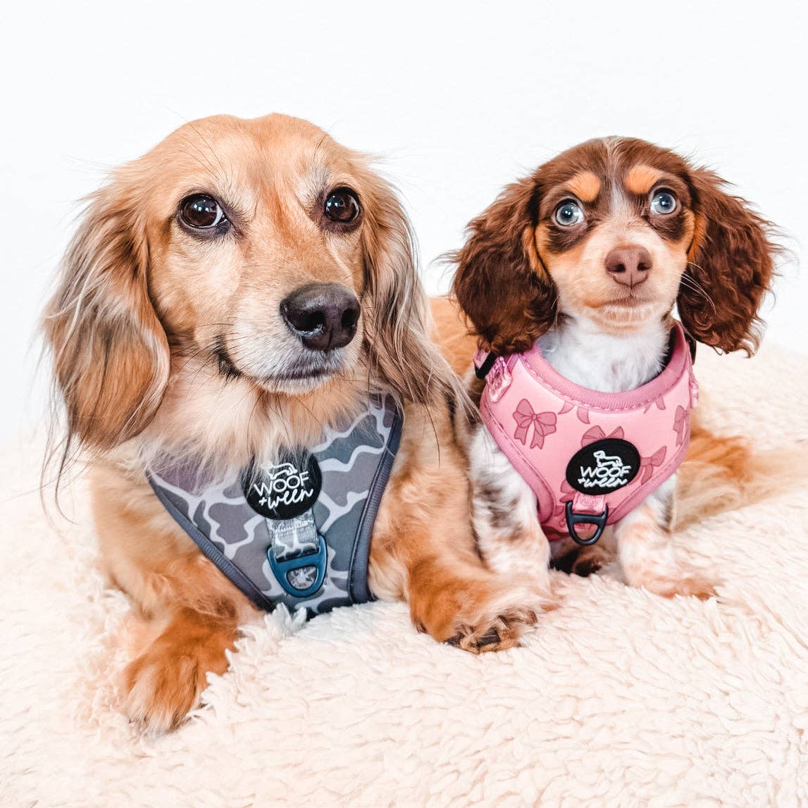 Adjustable Dog Harness - Pink Coquette