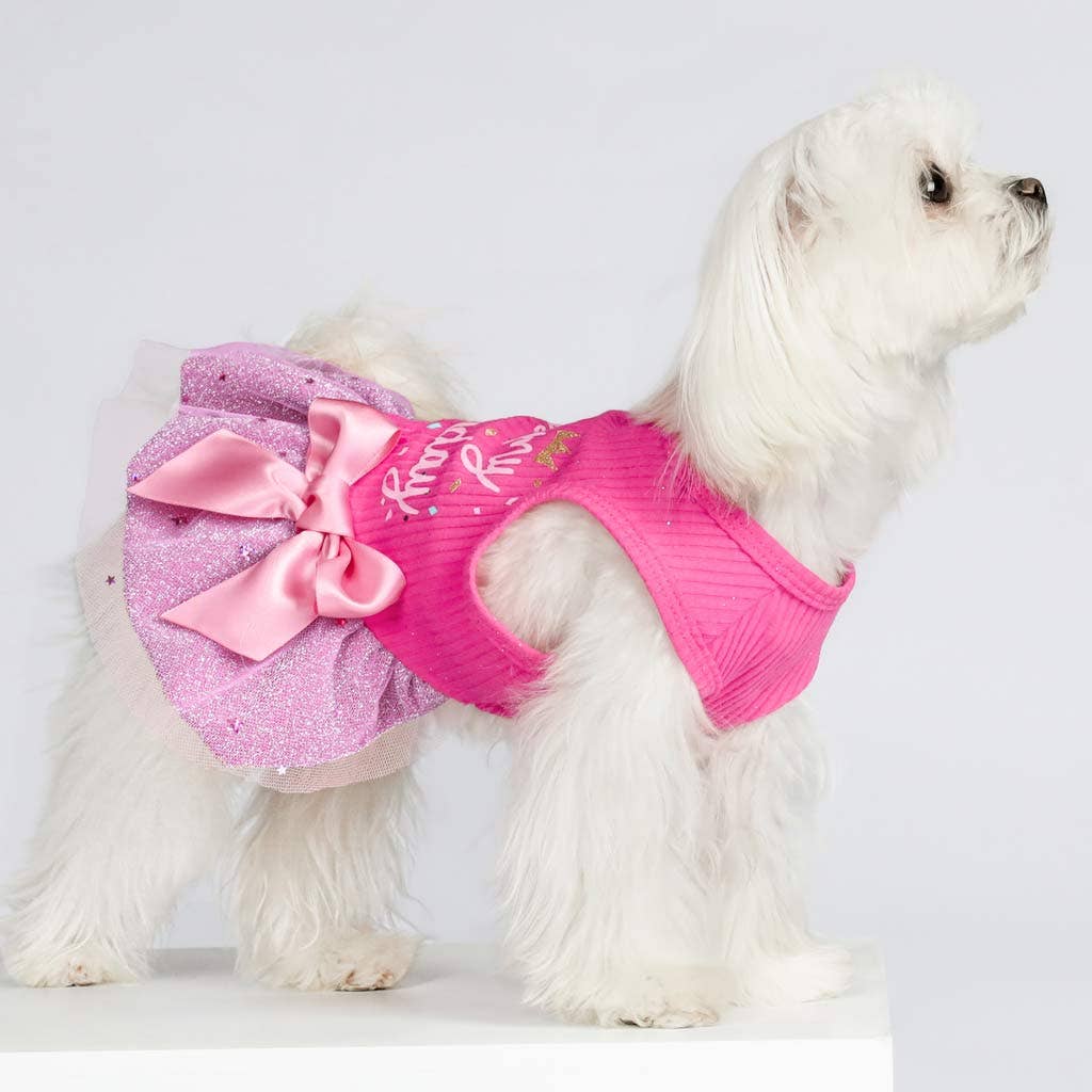 It's My Birthday Dog Dress