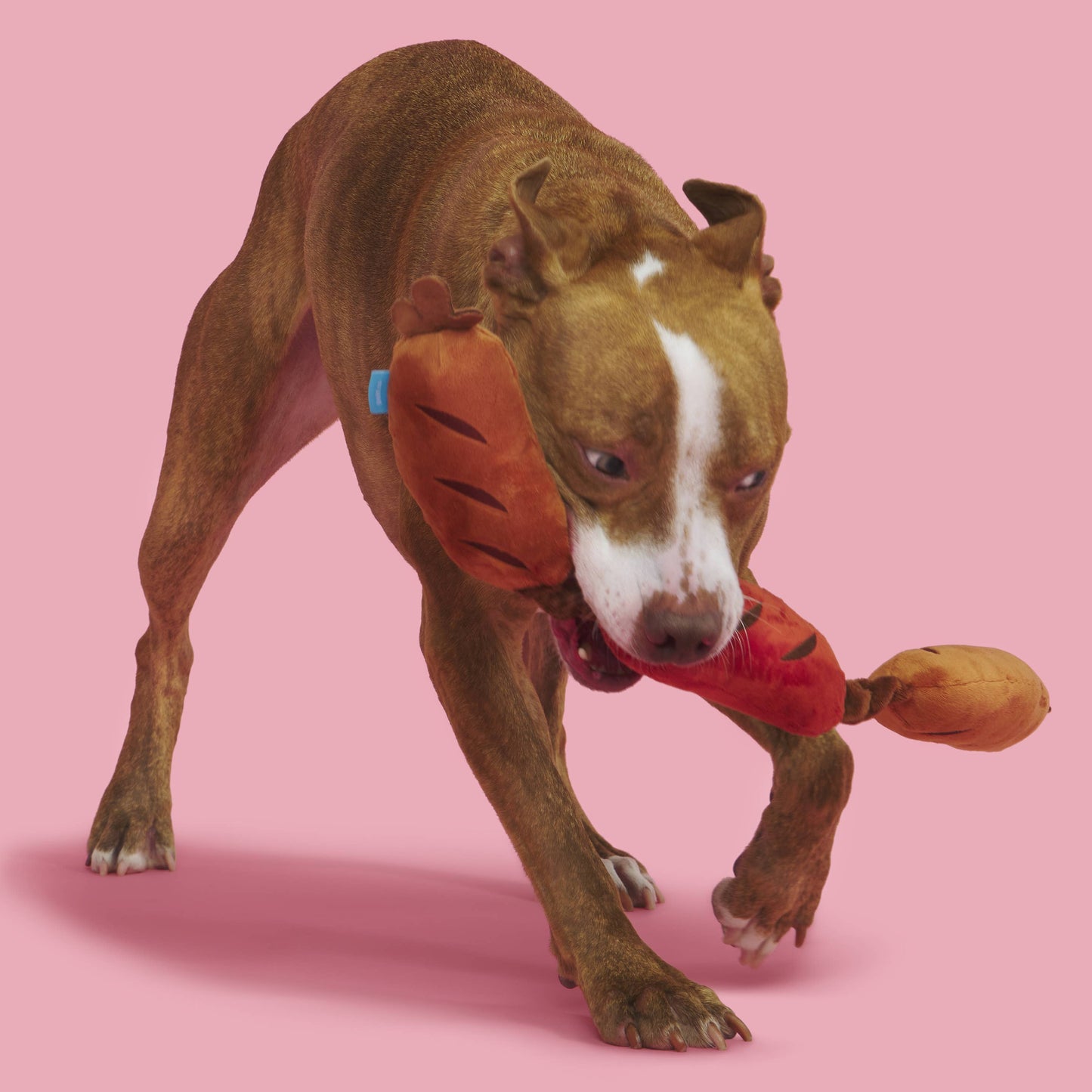 Lickin' Links Plush Dog Toy