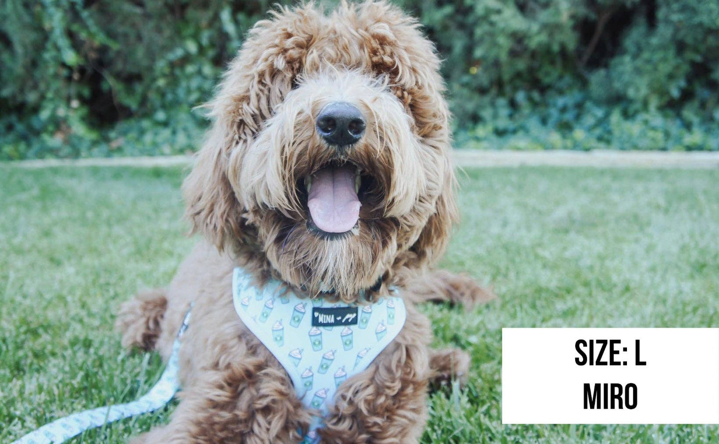 Arnés ajustable para perros Blue Pupshake