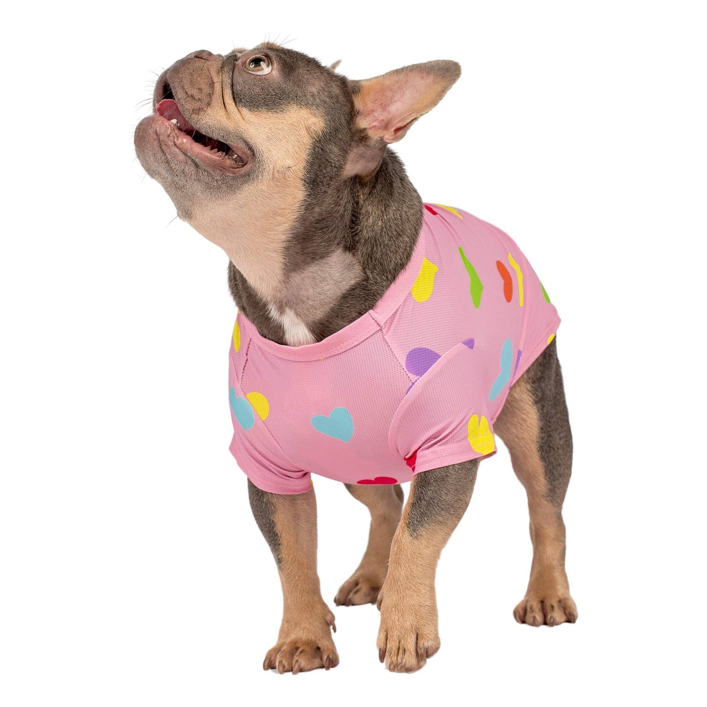 Heart Explosion Dog Cooling Shirt