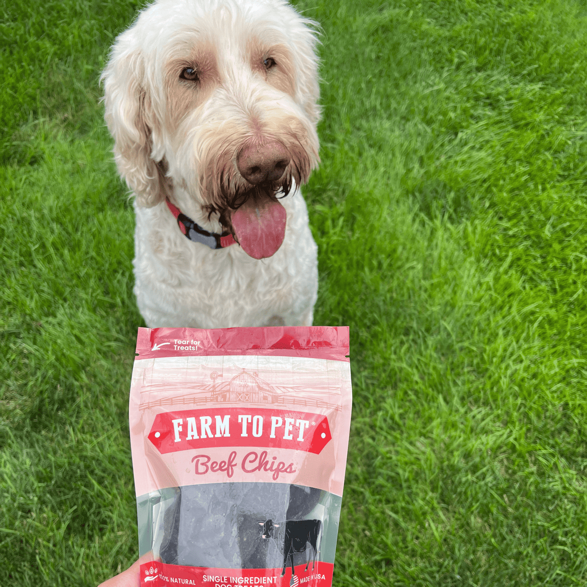 Beef Chips Dog Treats 12oz