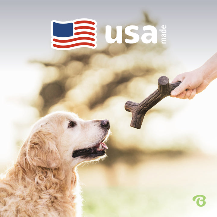 Benebone Stick Bacon Dog Chew Toy
