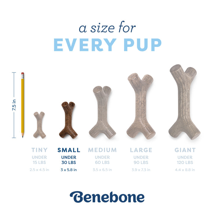 Benebone Puppy Maplestick Dog Chew Toy