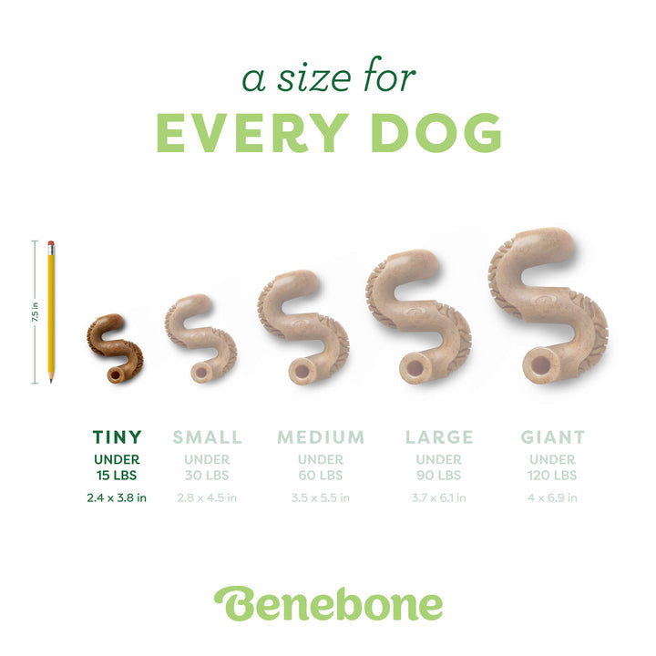 Benebone Beef Tripe Bone Dog Chew Toy