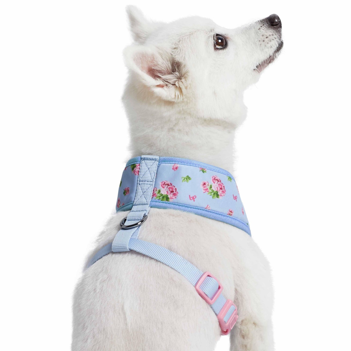 Chaleco arnés para perros con diseño floral de Petal Paws
