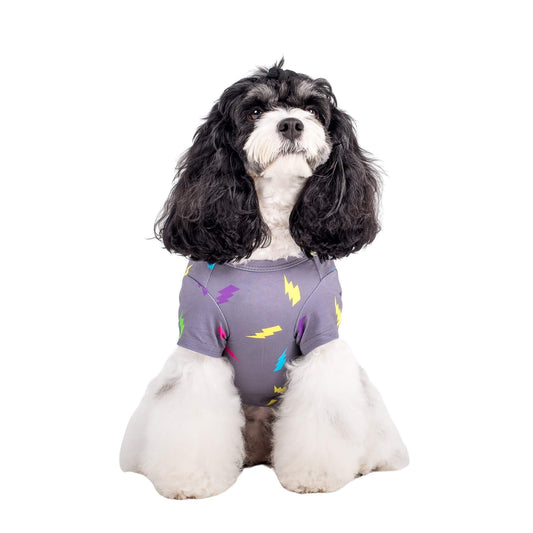 Electric Energy Dog Shirt