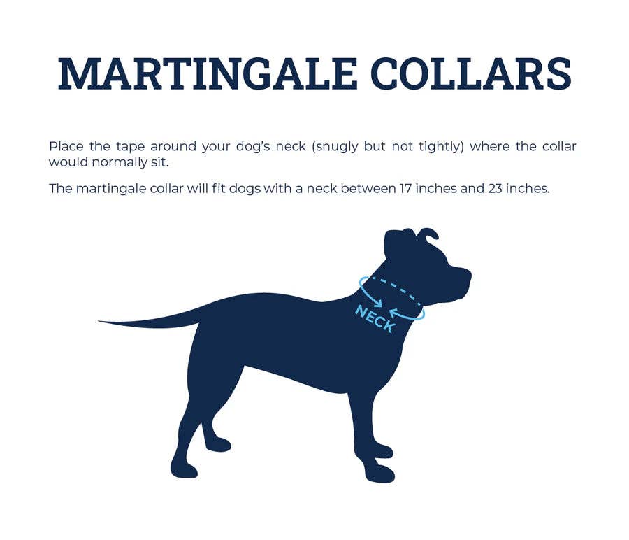 Purple Princess Martingale Collar