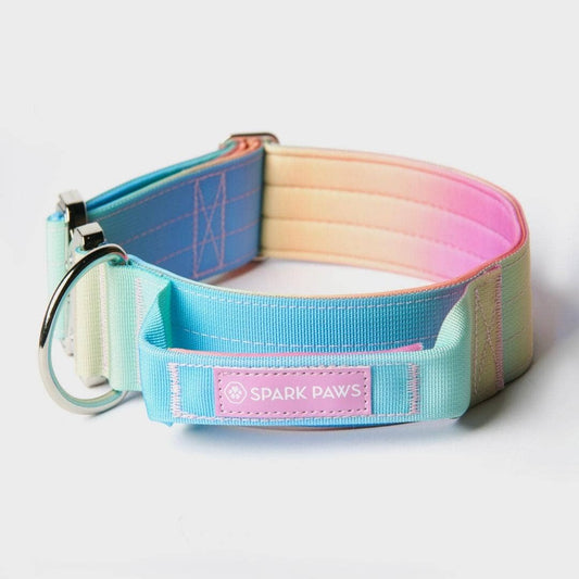 Tactical Dog Collar - Pastel Icing