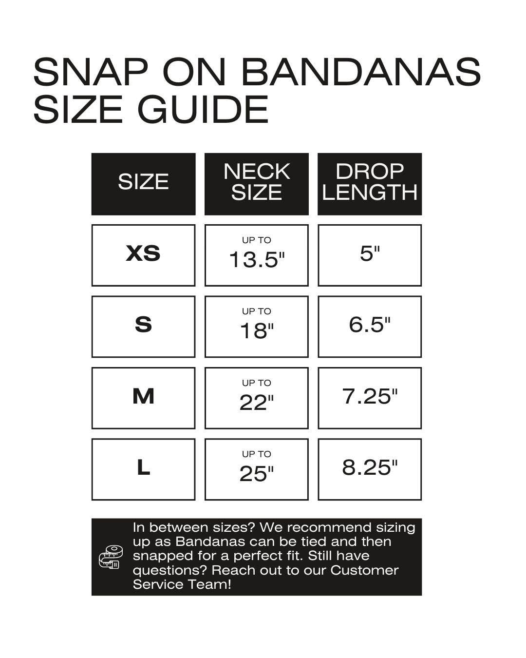 Bandana para perros Homestead