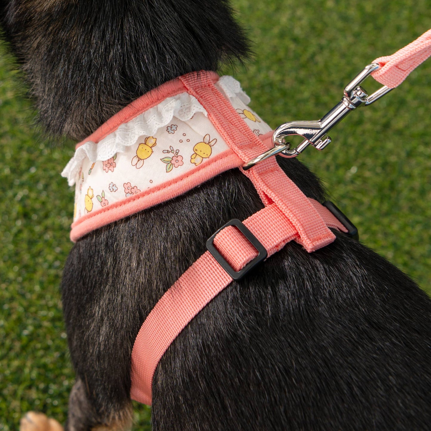 Pinkaholic Amara Over-the-Head Dog Harness Floral Ruffle:
