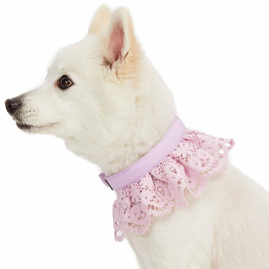 Cute Floral Lace Dog Collar - Lavender