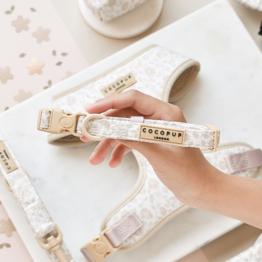 Luxe Dog Collar - Garden Meadow