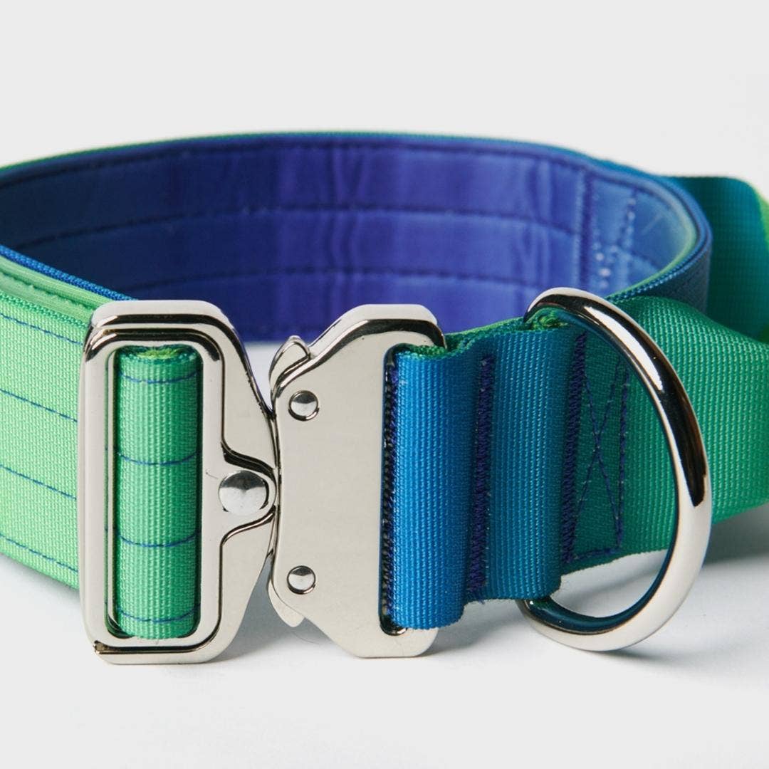 Tactical Dog Collar - Lime Wave