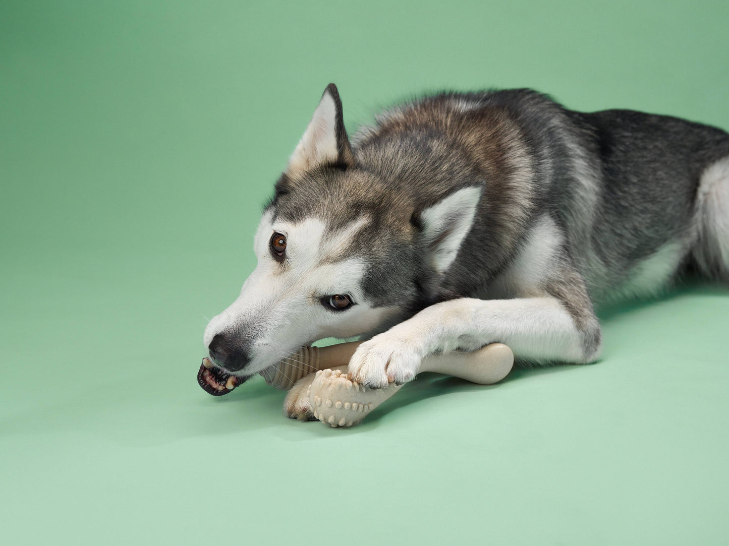 BetterBone MEDIUM All-Natural No Nylon Beef - Assorted Sizes