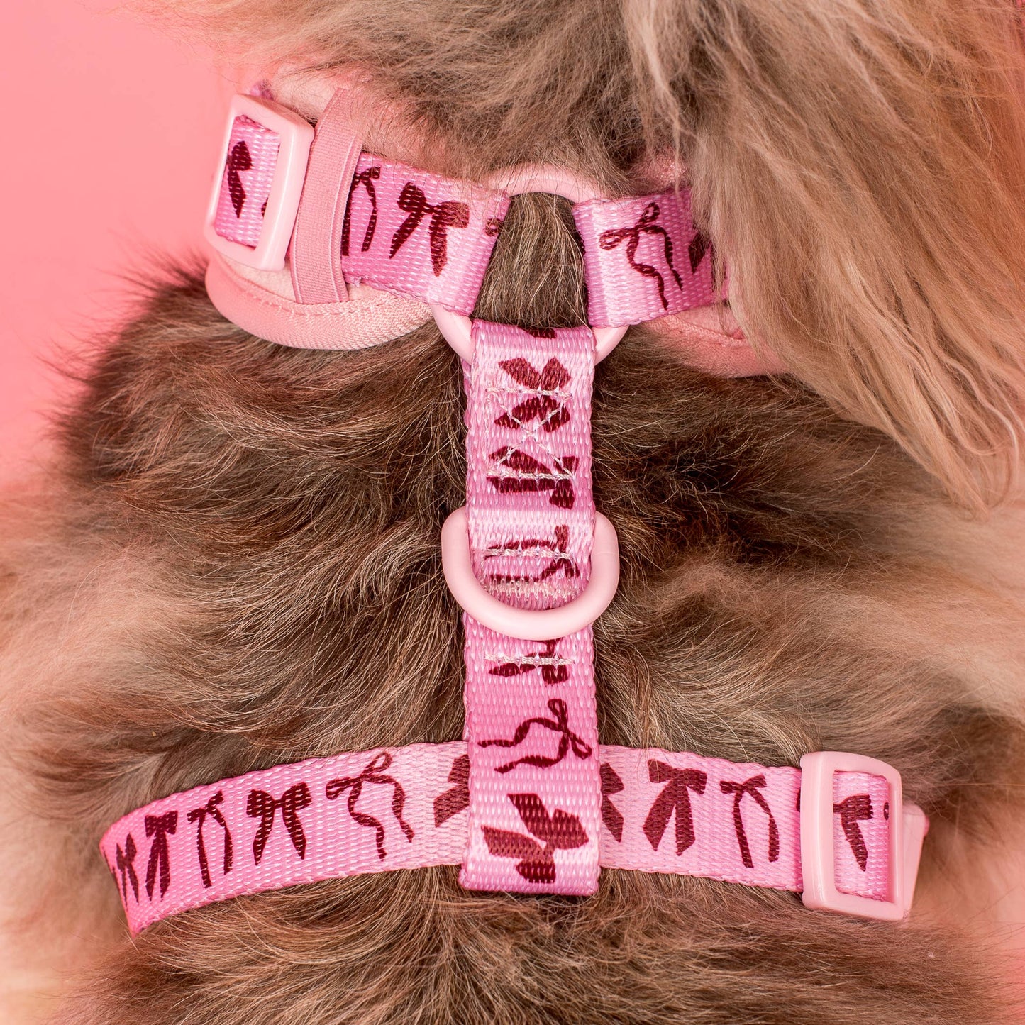 Velvet Blush Bows Adjustable Dog Harness
