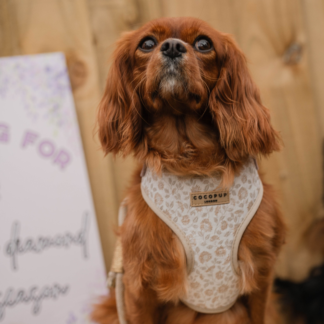 Luxe Adjustable Neck Harness - Garden Meadow