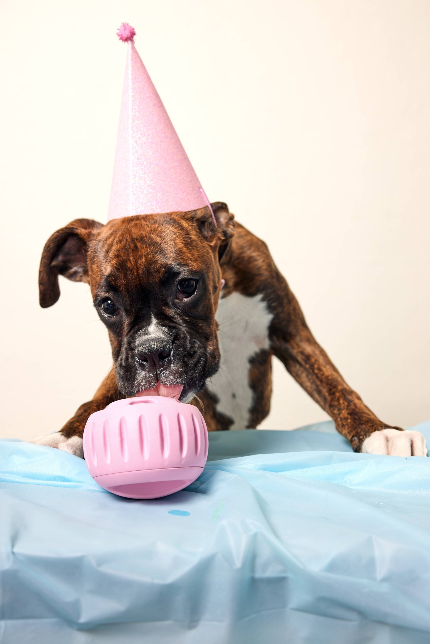 Pupsicle Pink - World's Best Treat Dispensing Dog Toy