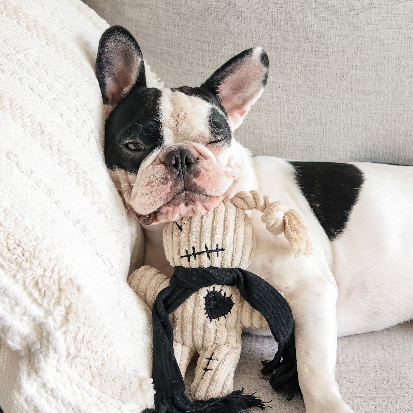 Juguete para perros VooDoo de Halloween