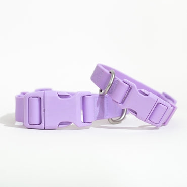 Waterproof + Adjustable Dog Collar - Assorted Colors