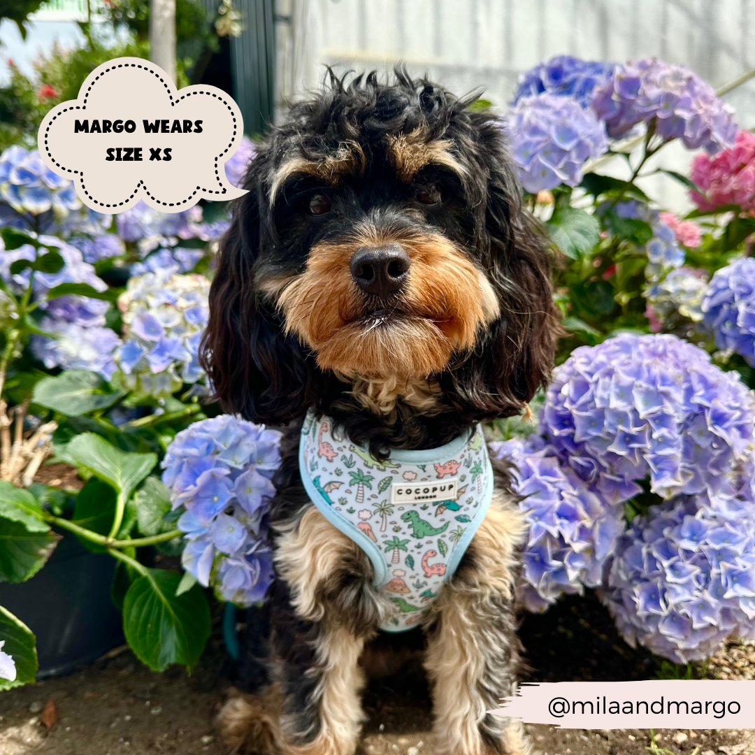 Dinopaws Adjustable Neck Dog Harness