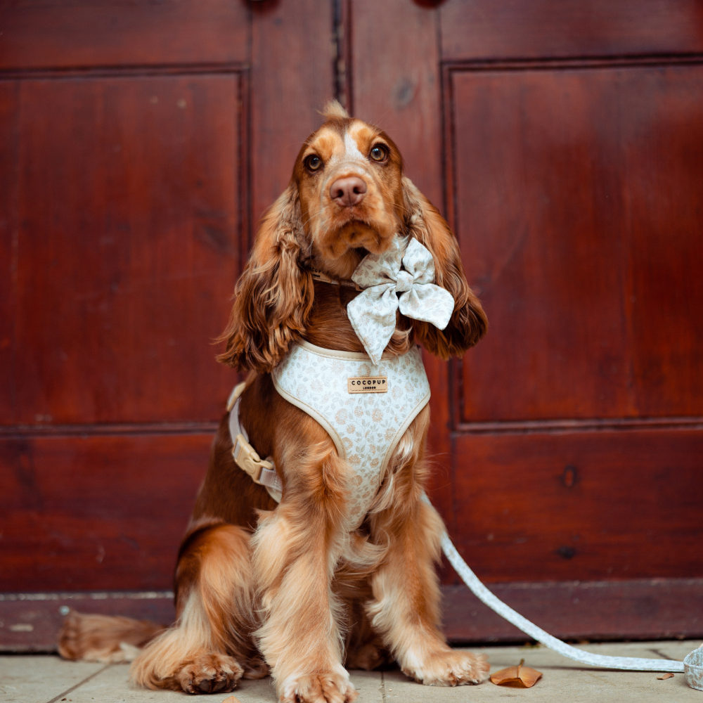 Luxe Adjustable Neck Harness - Garden Meadow