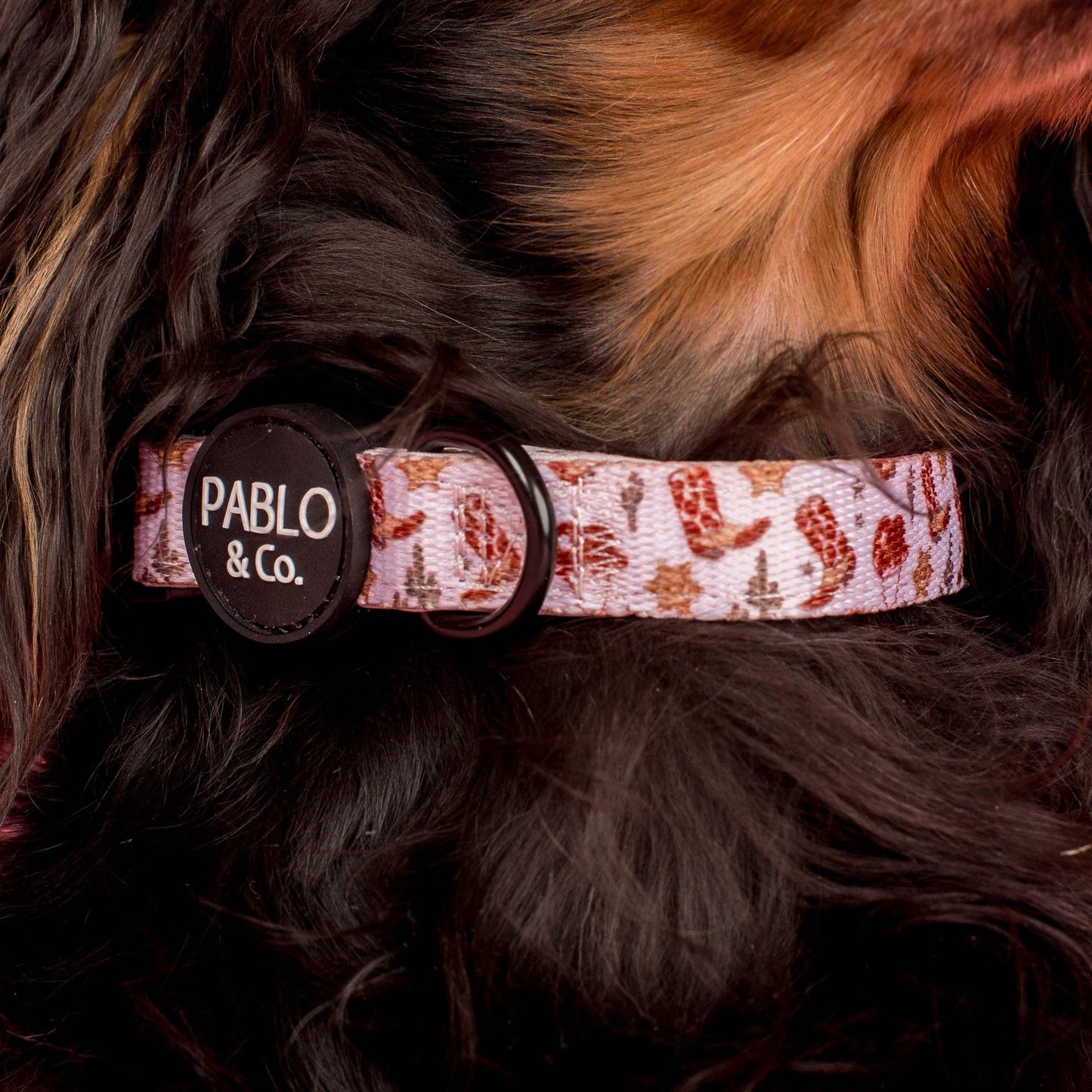 Howdy Dog Collar