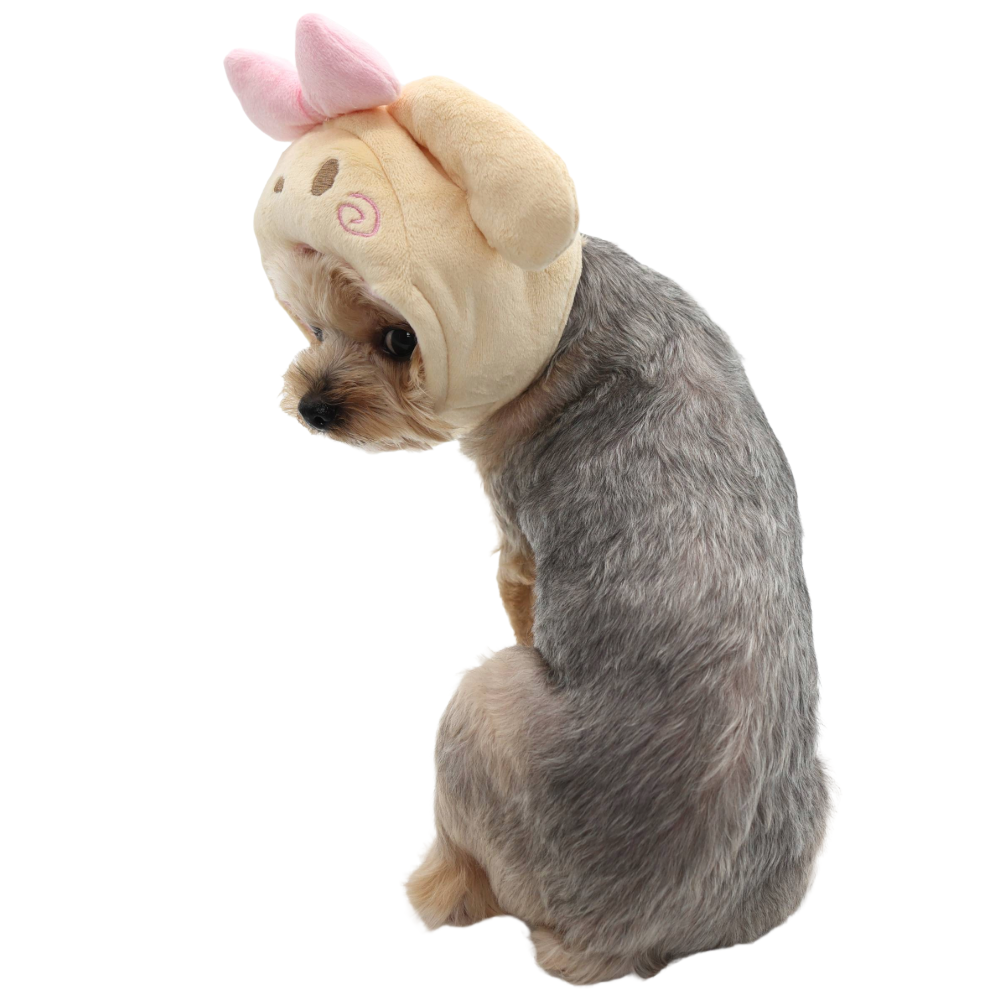 Sombrero de cachorro