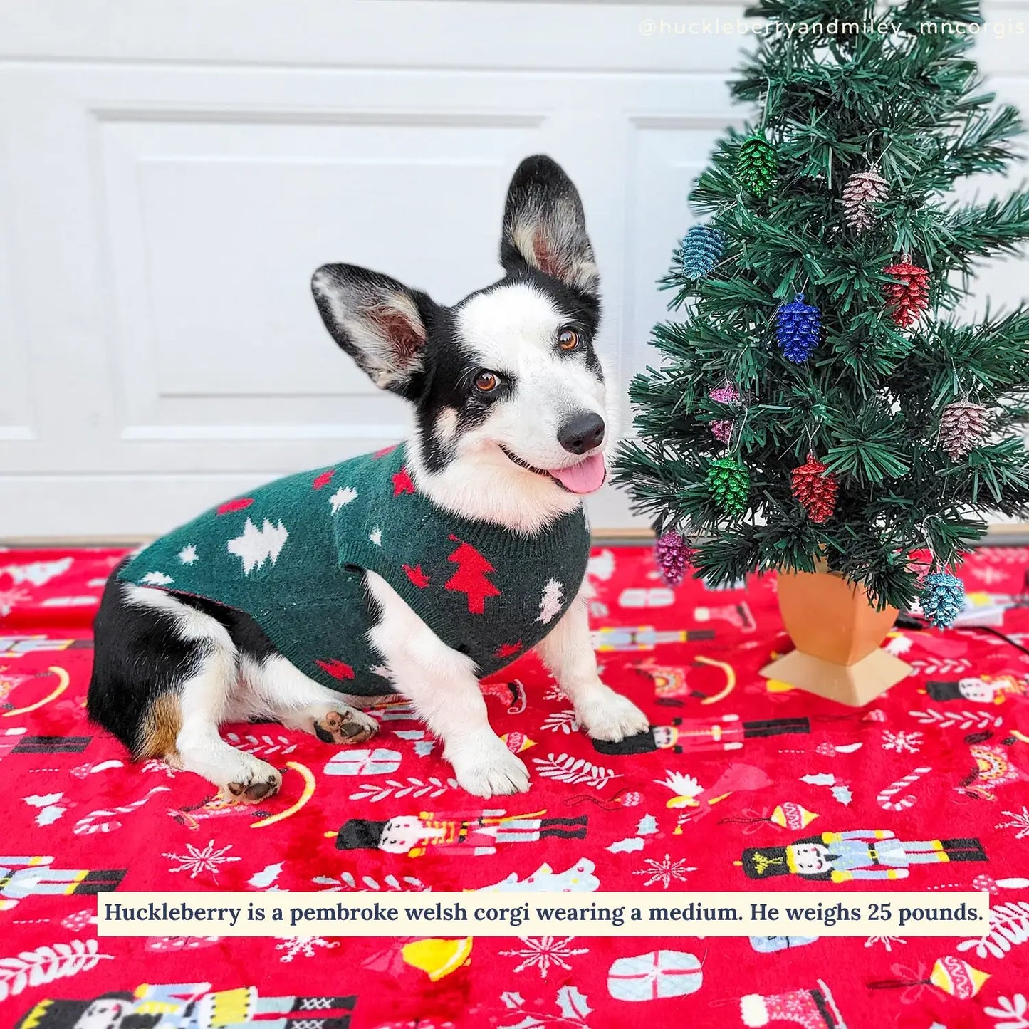Joy to the World Dog Sweater