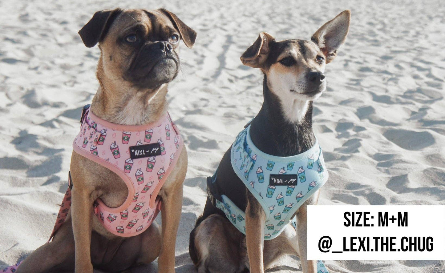 Arnés ajustable para perros Blue Pupshake