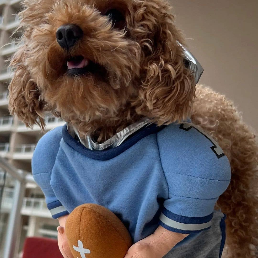 Disfraz de perro de Halloween de QuarterBark