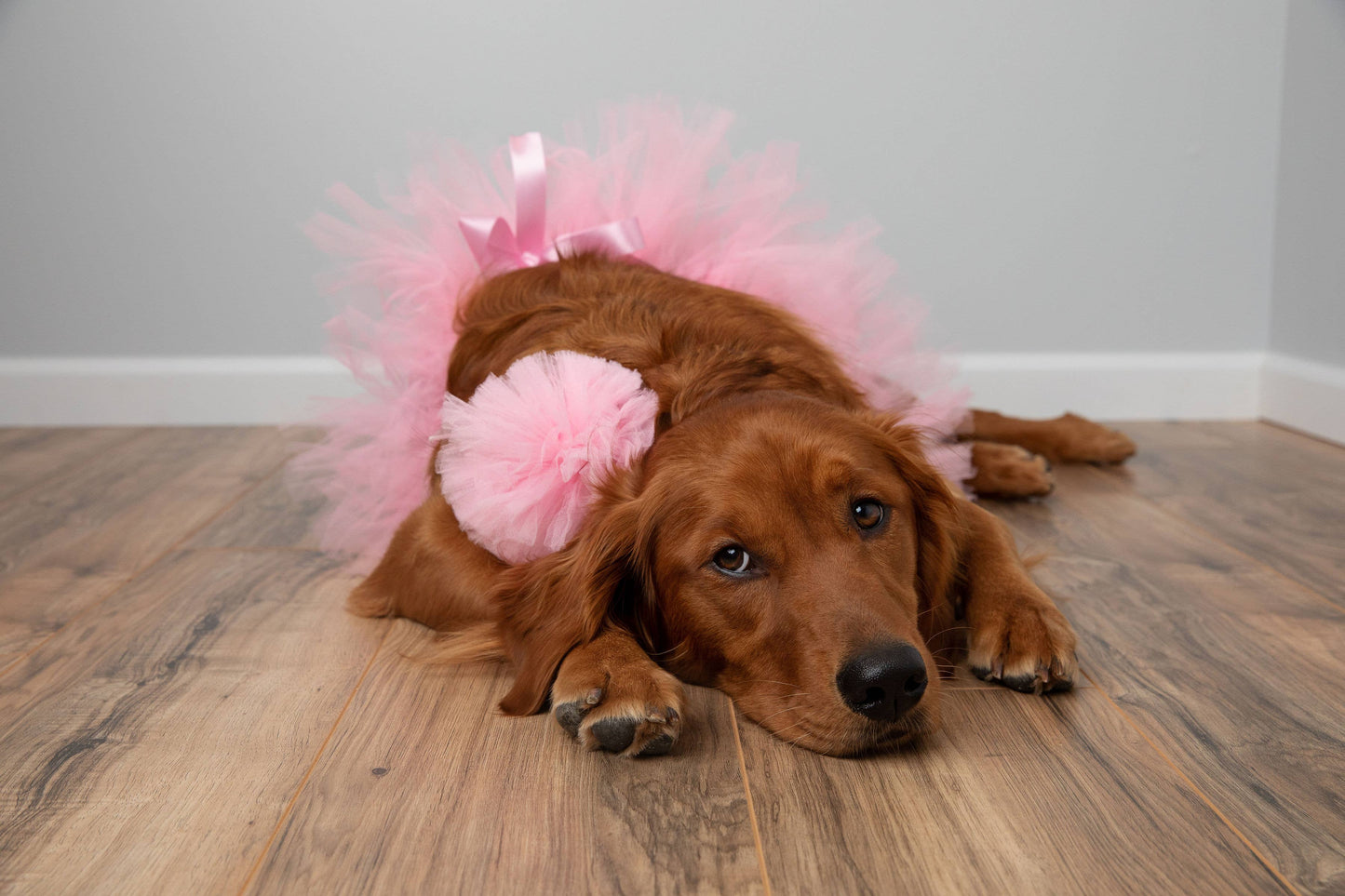 Pink Dog Tutu/Skirt