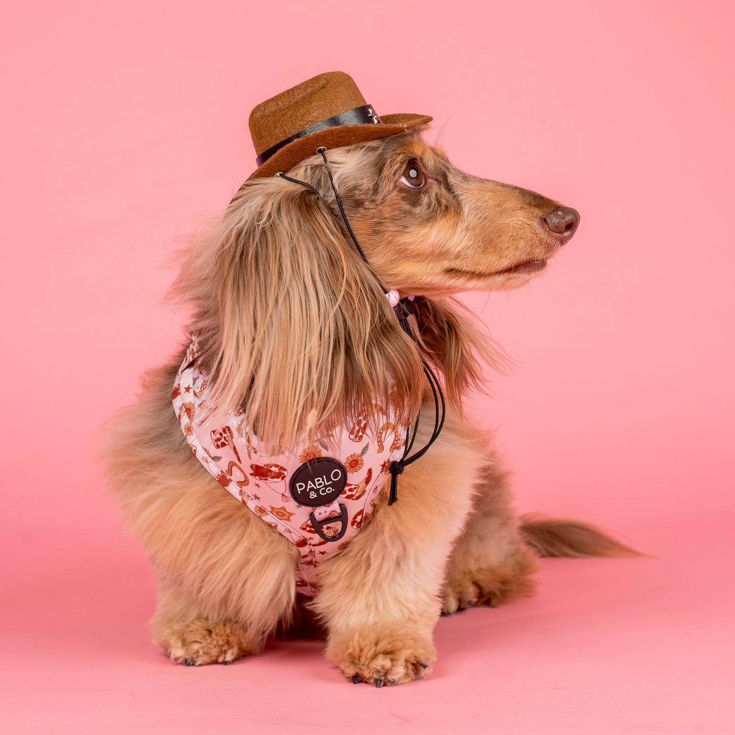 Howdy Adjustable Dog Harness