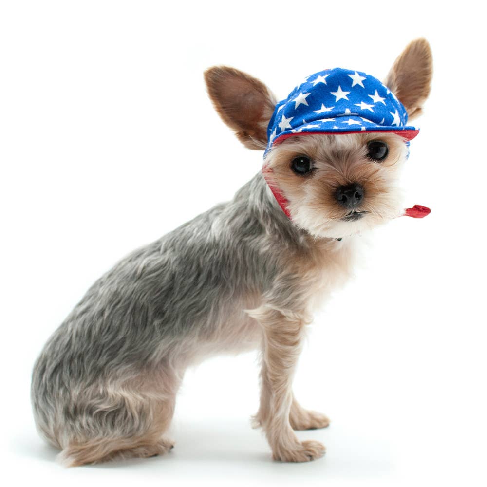Star Dog Hat