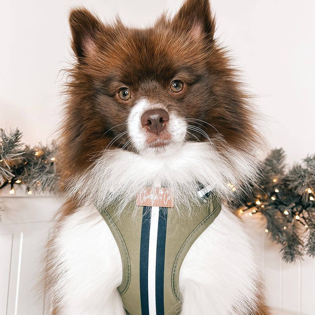 Barky Khaki Adjustable Step-in Dog Harness