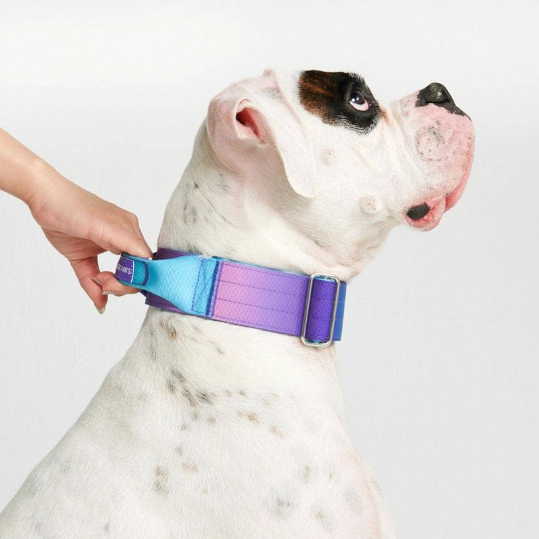 Tactical Dog Collar - 90s Retro