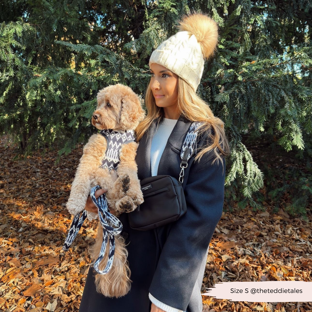 Arnés ajustable para perros Chalet Pup