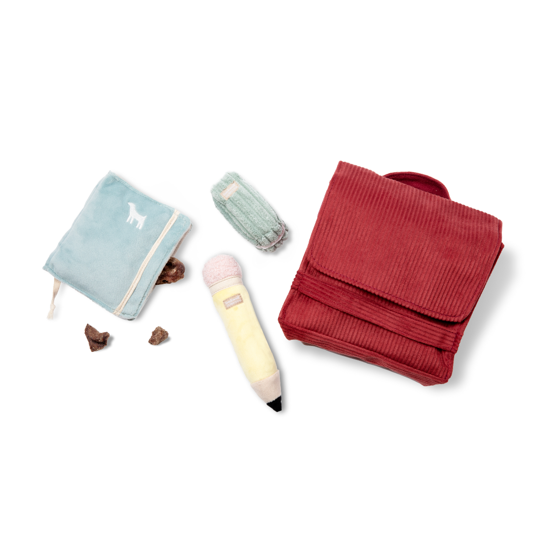 Back To School Dog Toy 4 Pieces