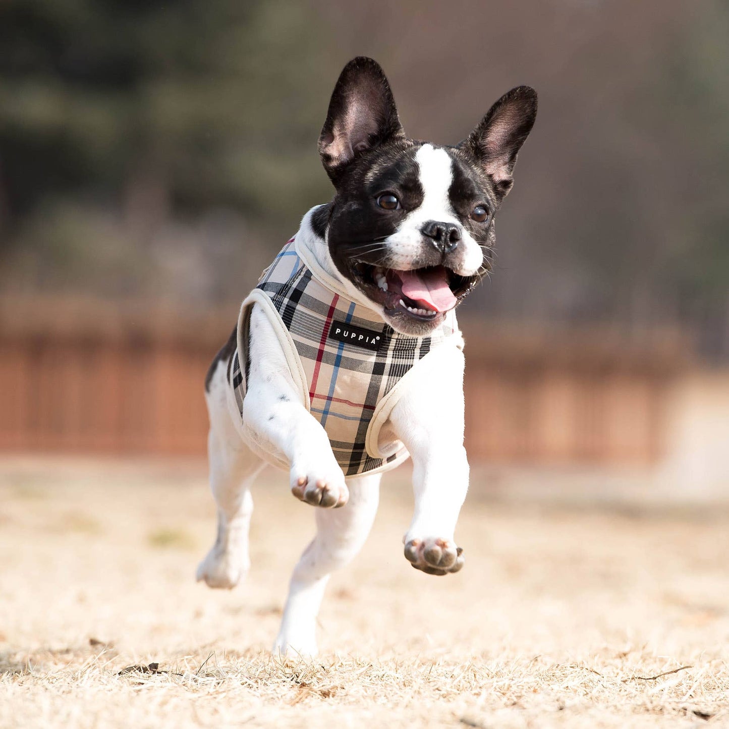 Arnés para perros con diseño de cuadros para niños