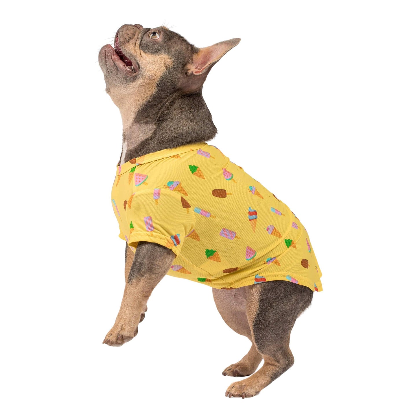 Ice Cream Dream Cooling Dog Shirt