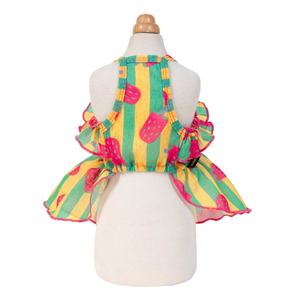Bohemian Strawberry Ice Pop Dog Dress